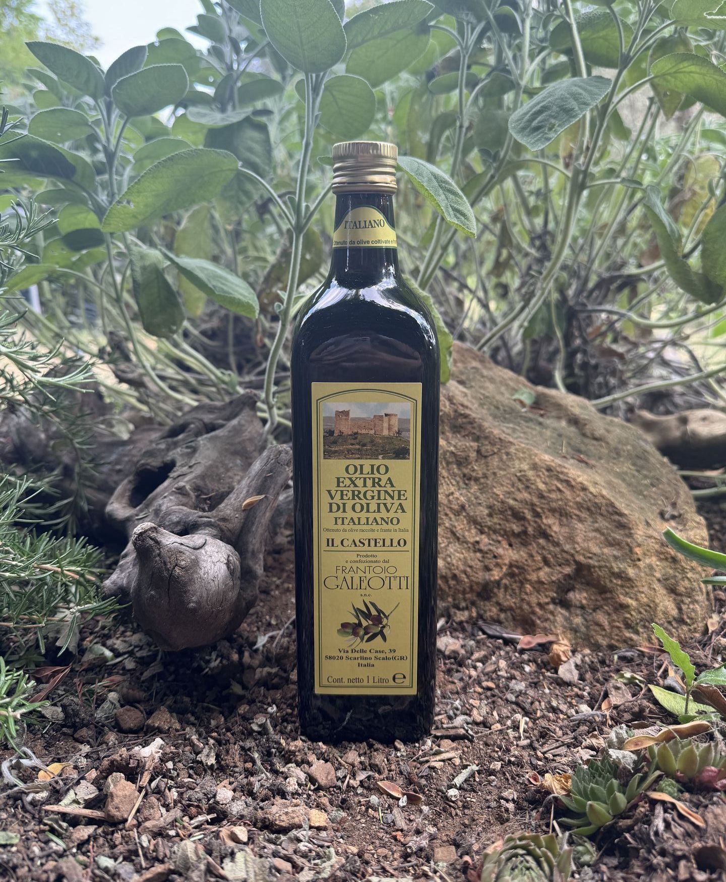 1l Ölflasche mit Schraubverschluss umgeben von Steinen und Pflanzen