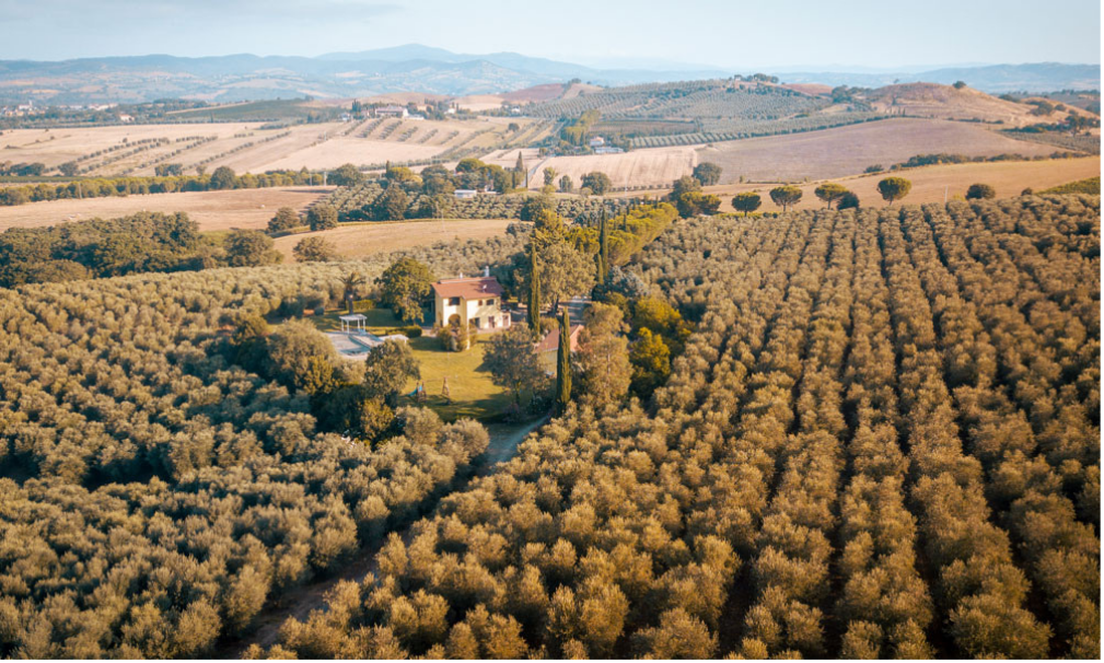 Dronenbild der Landschaft um die Entstehungsstätte von Le Selvette, die ein Haus umgeben von typisch toskanischer Natur zeigt