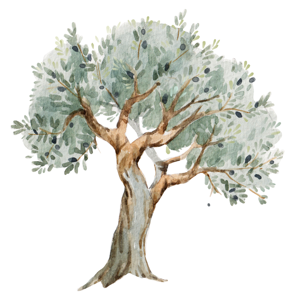 Illustration eines Olivenbaums