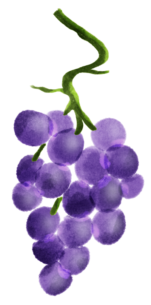 Illustration eines Olivenbaums