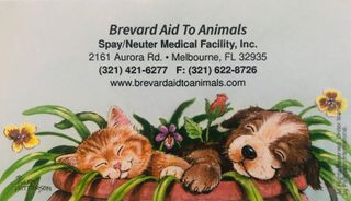 Brevard Aid To Animals ~ (321) 421-6277