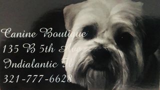 Canine Boutique ~ (321) 777-6628