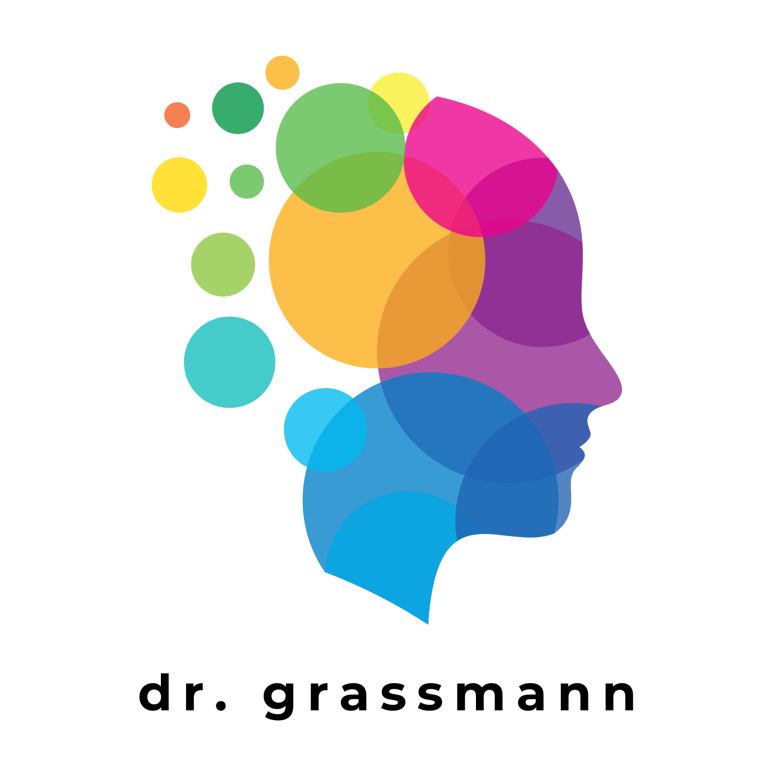 Farbenfrohes, abstraktes Kopf-Silhouette-Logo mit Punkten und dem Text „dr. grassmann“
