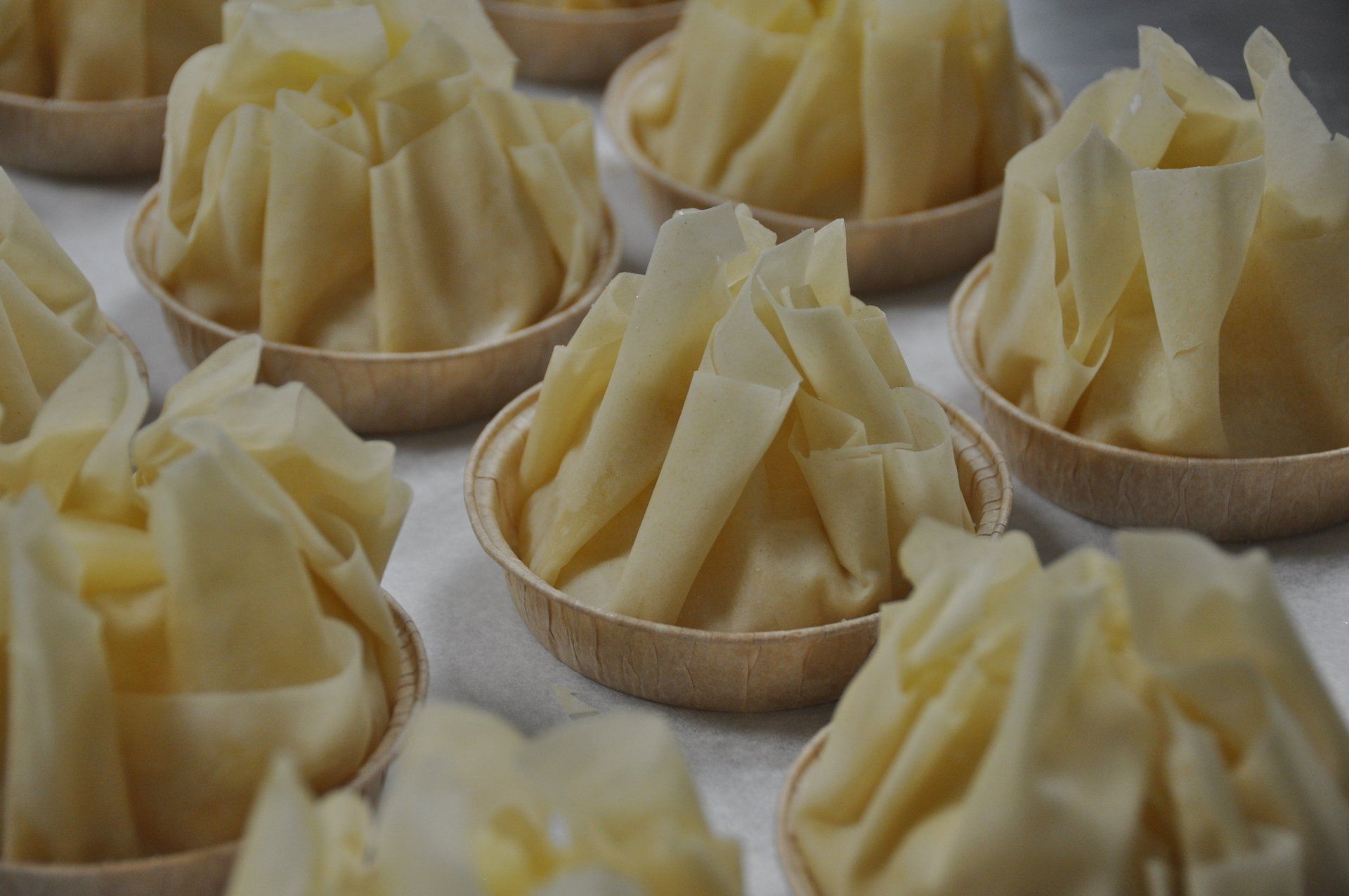 Tourtière Surgelée prêt à cuire