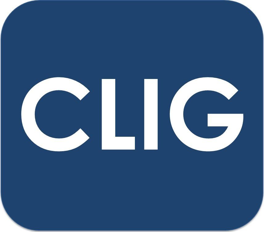 CLIG Group es una plataforma de Comercio Internacional y Servicios para ...
