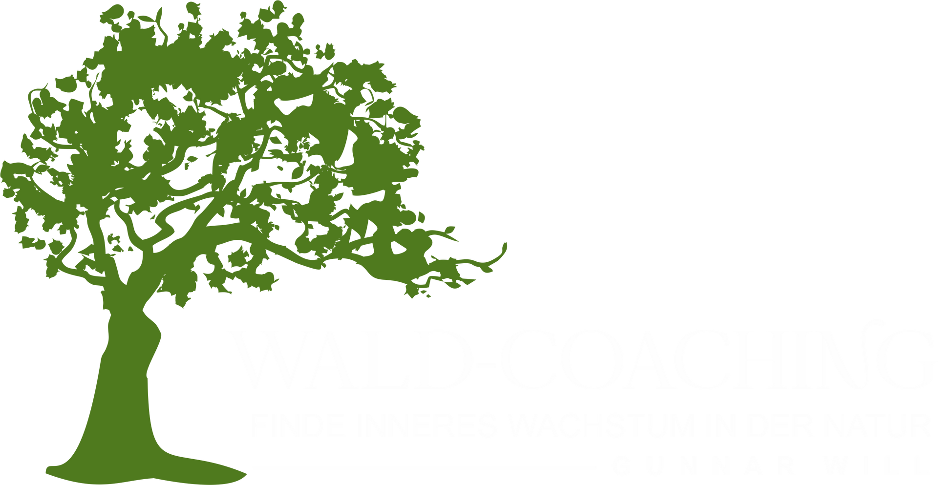 Gunnar Will, Coaching, Training und Moderation