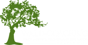 Gunnar Will, Coaching, Training und Moderation