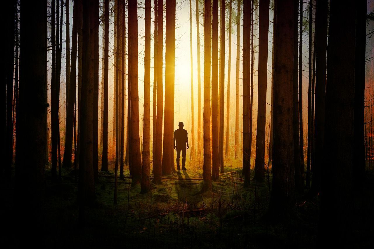 Mensch im Wald sucht Klarheit