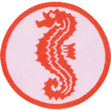 Schwimmabzeichen Seepferdchen
