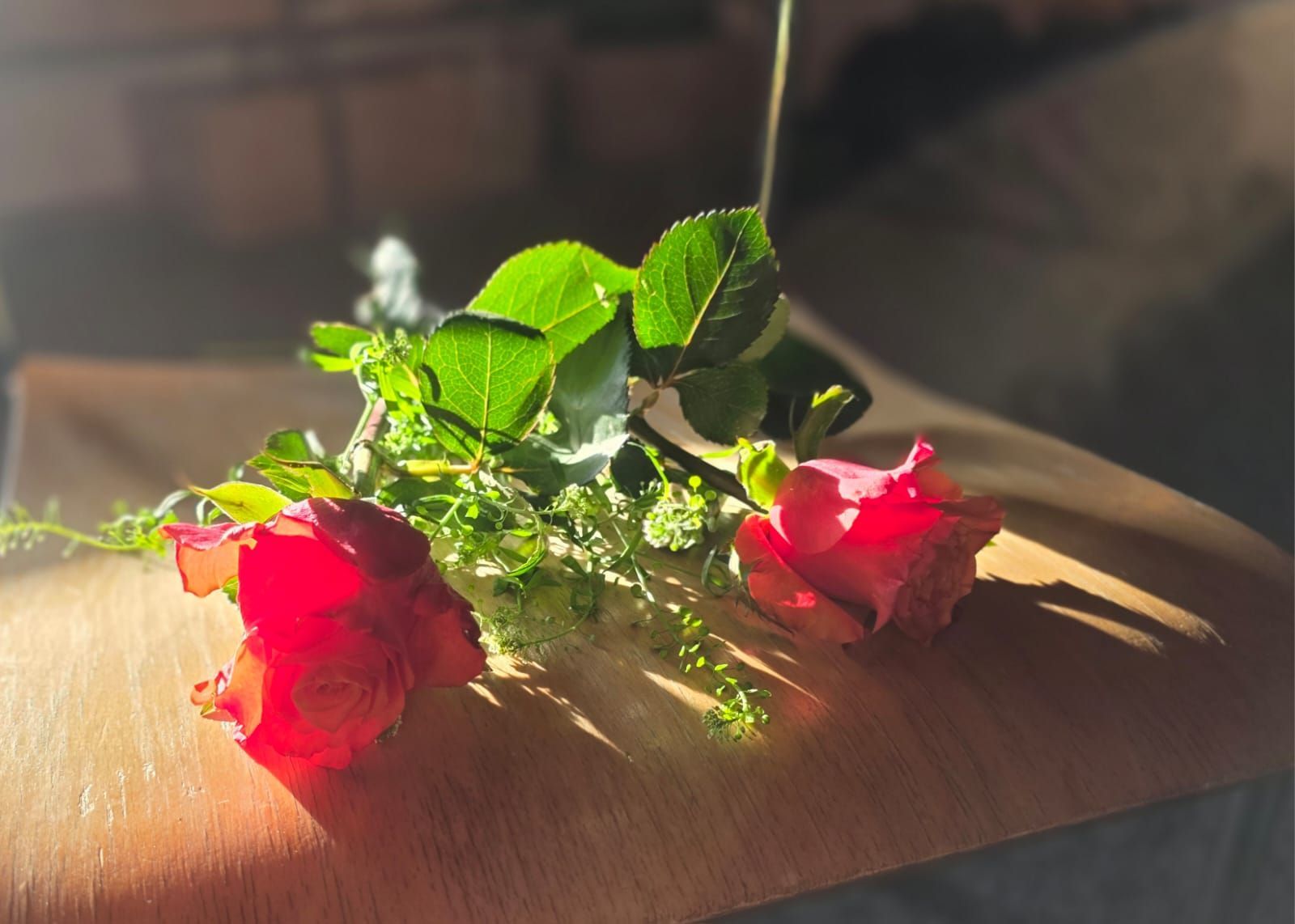zwei rote Rosen liegen auf bräunlichem Untergrund und werden von einem warmen Sonnenstrahl beleuchtet, als Symbol für liebevolle Zuwendung beim Leben des Ikigai durch Tantramassage und Sexualbegleitung.