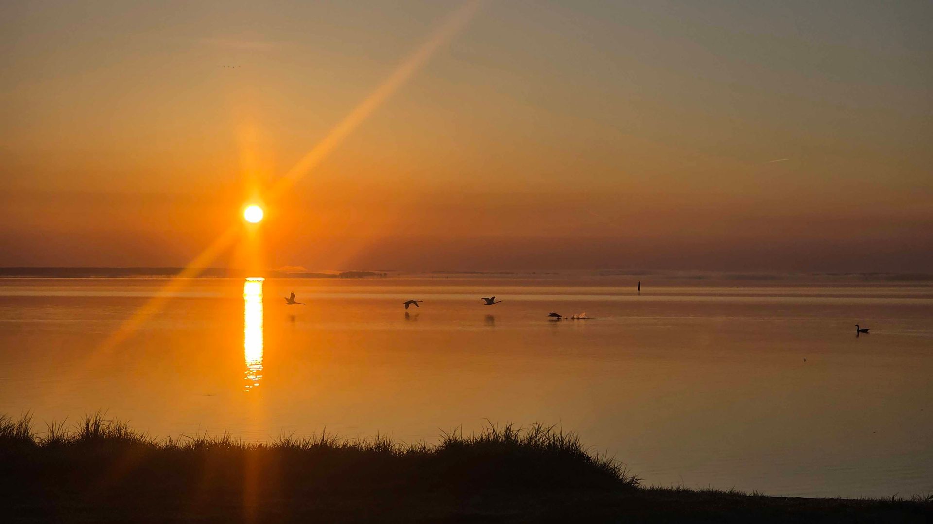 Die aufgehende Sonne und die auffliegenden Vögel spiegeln Annas Befreiung und den Beginn eines neuen, freudvollen Lebens wider.