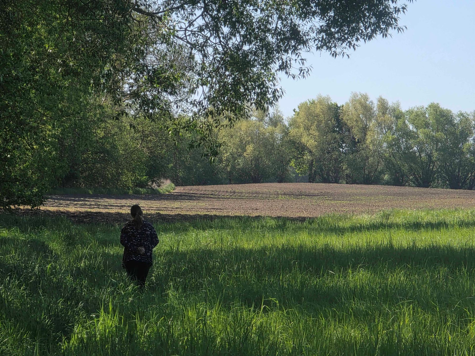 Grüne Landschaft, Feld, Bäume, eine Frau geht Richtung Waldrand
Die Frau, die sich vom Betrachter weg auf ein bestelltes Feld hint bewegt, symbolisiert Annas Weg in eine freiere, selbstbestimmte Zukunft. Ein Moment der Heilung: Intimität ohne Angst