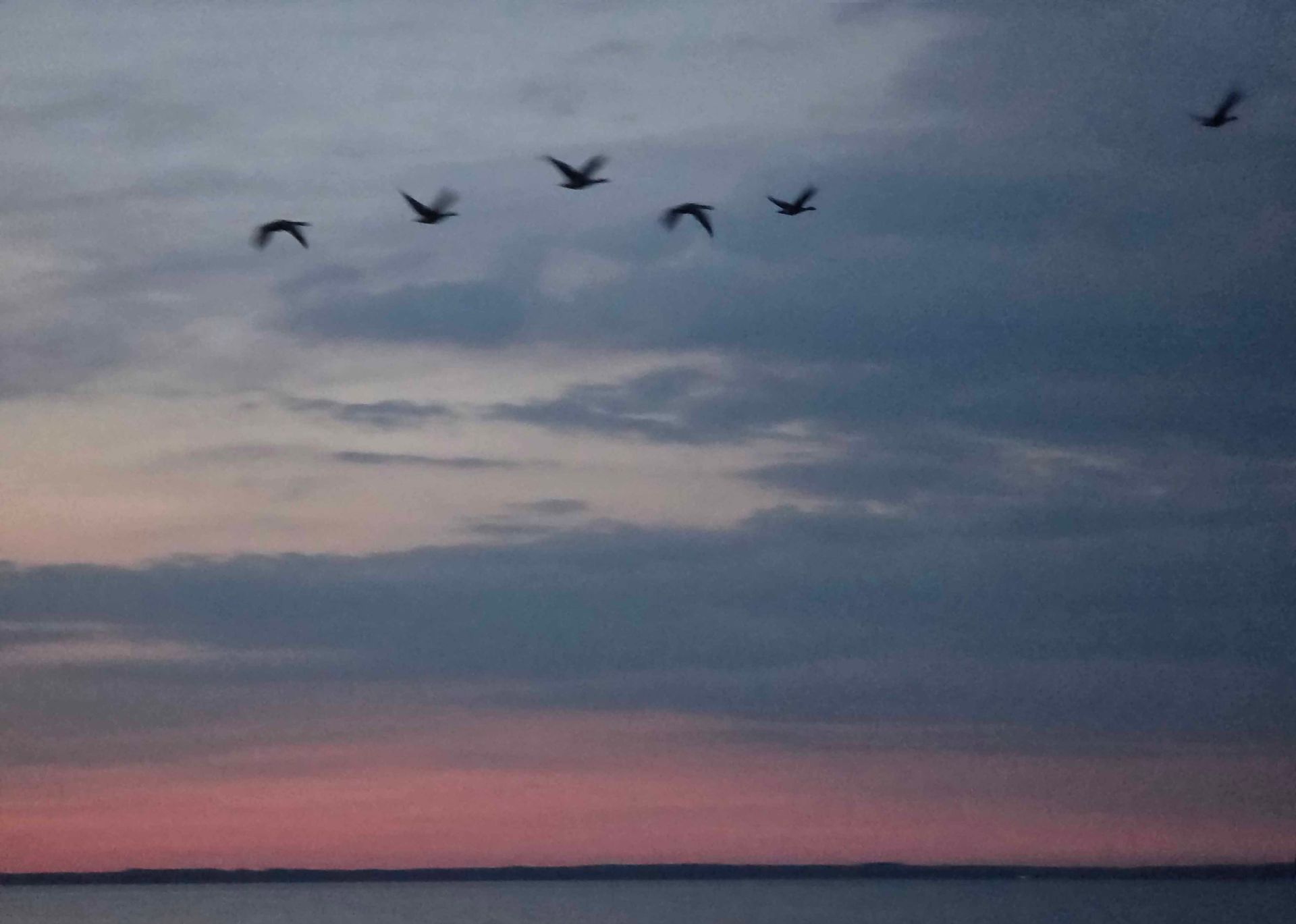 Morgenröte über einem See, Vögel fliegen vorbei
Die Morgenröte und die Vögel verstärken Annas Botschaft von Freiheit, Neubeginn und Leichtigkeit.