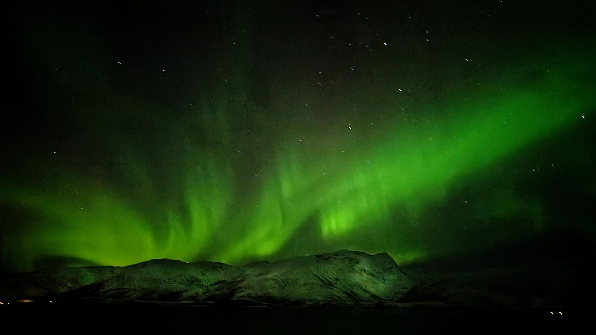 Grüne Nordlichter wirbeln über einer dunklen, silhouettenhaften Landschaft.