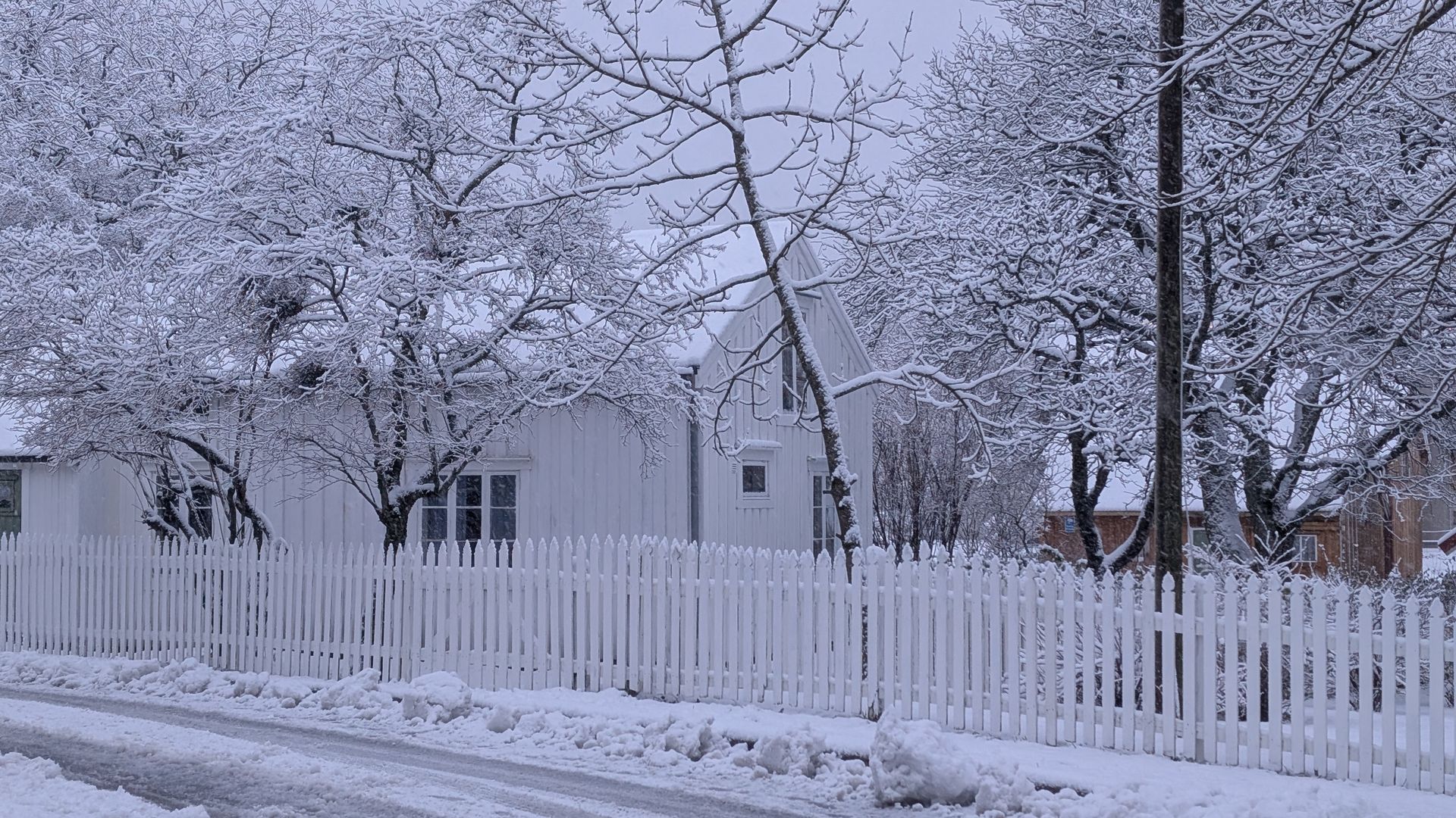 Schneebedeckte Bäume und ein weißer Lattenzaun vor einem weißen Haus. Winterszene.