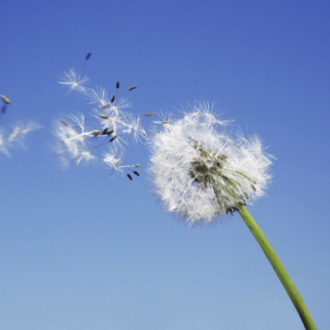 Finde raus was hinter deinen Wünschen steckt, definiere sie und lerne wie du sie erreichst.