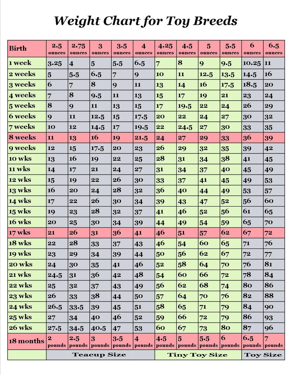 Maltese Weight Chart Kg