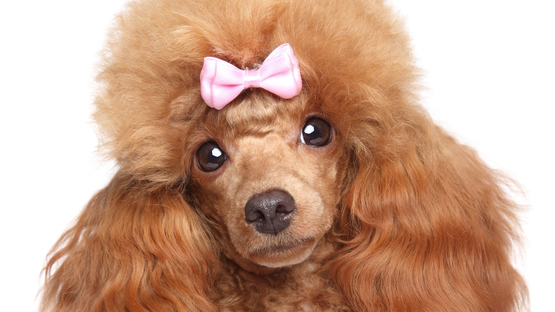 Frisuren aller Art