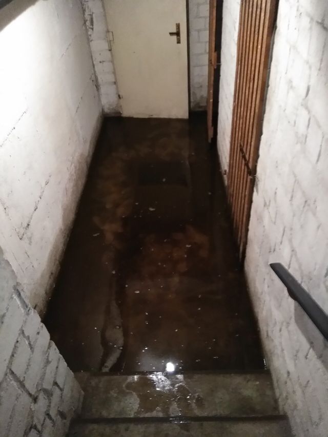 Adi Ruckstausicherung