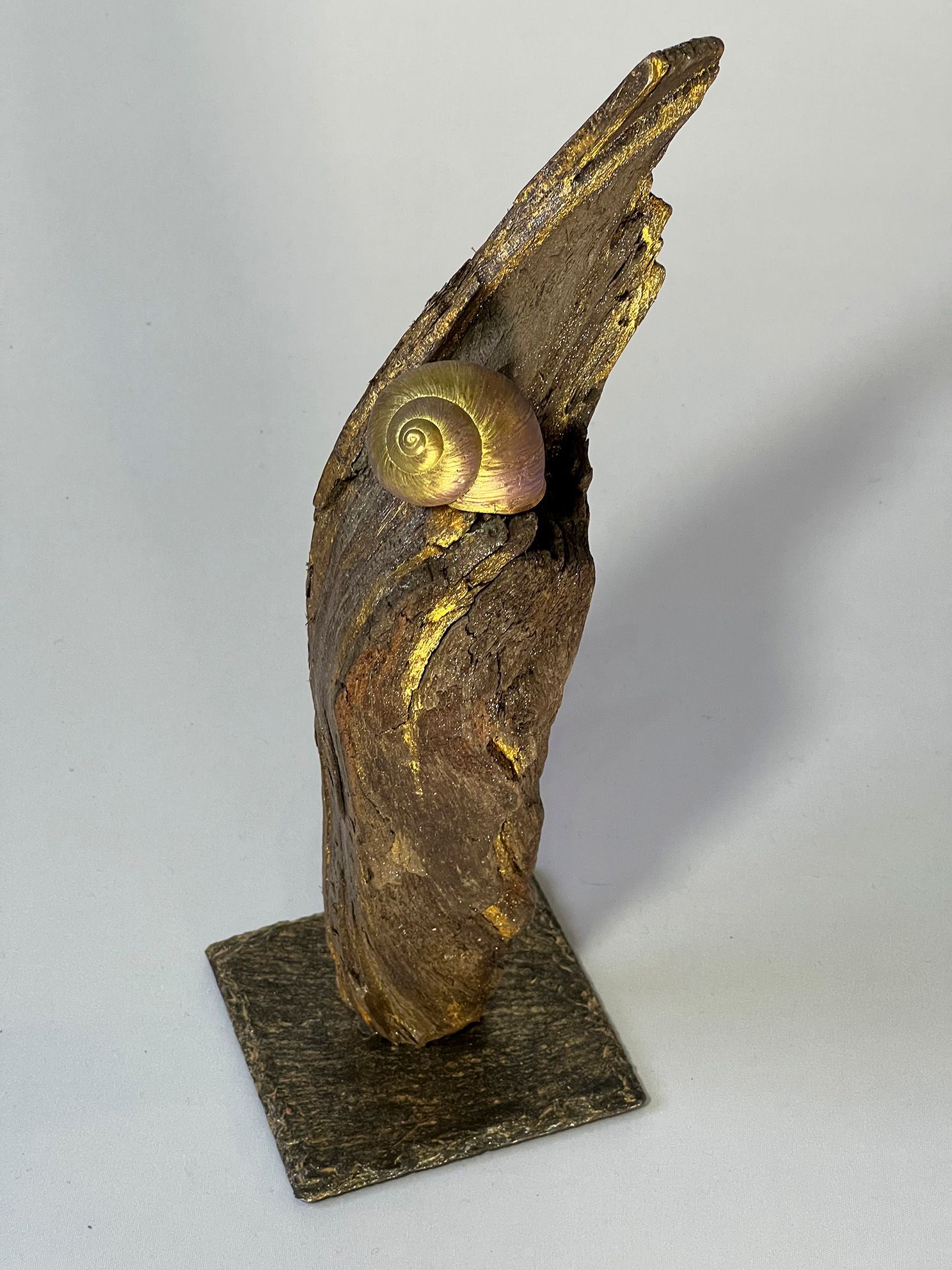 Goldschnecke in Ruhepause auf Eiche Schieferplatte