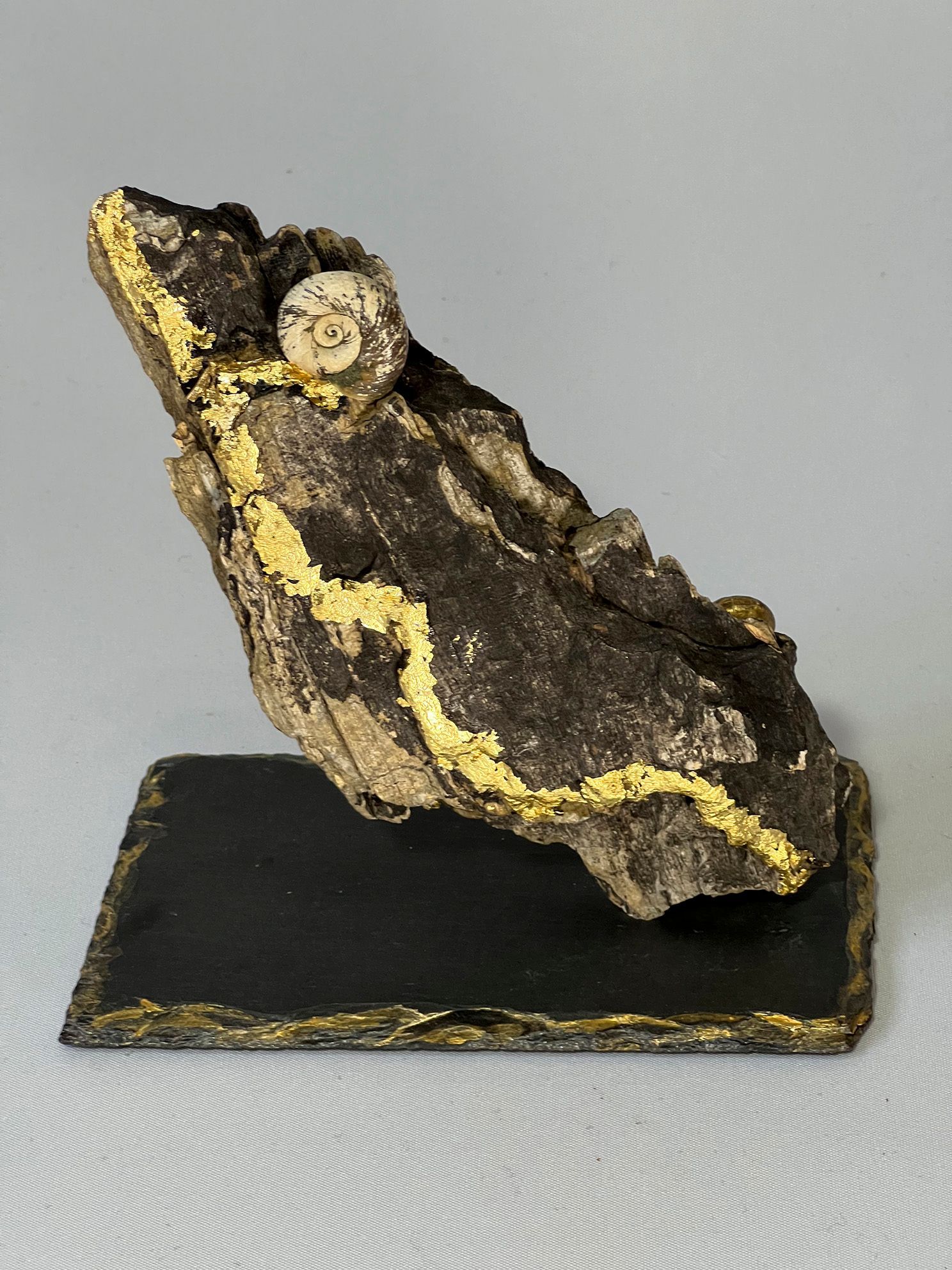 Goldader gefunden, Posthornschnecke, Goldspur