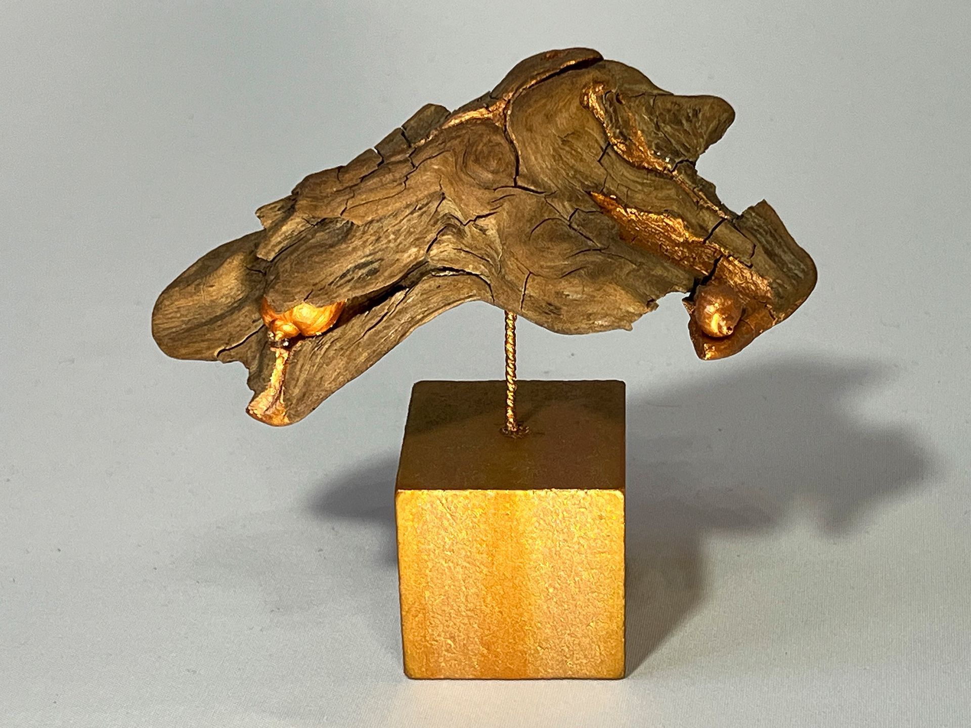 Seeschnecken Versteck, Wurzelholz mit Bronzeschnecken auf Bronzewürfel