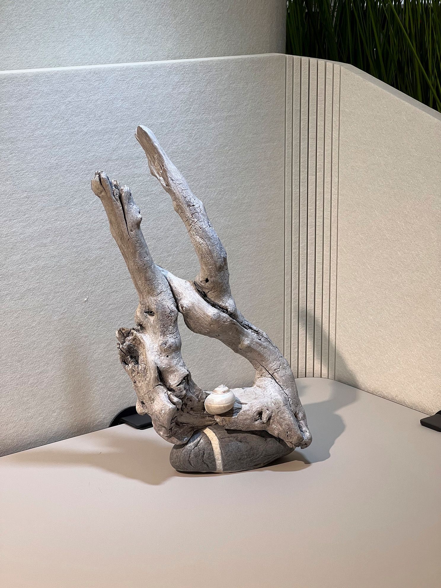 Holztorso der Eiche
lasierte Wurzel auf Kieselstein