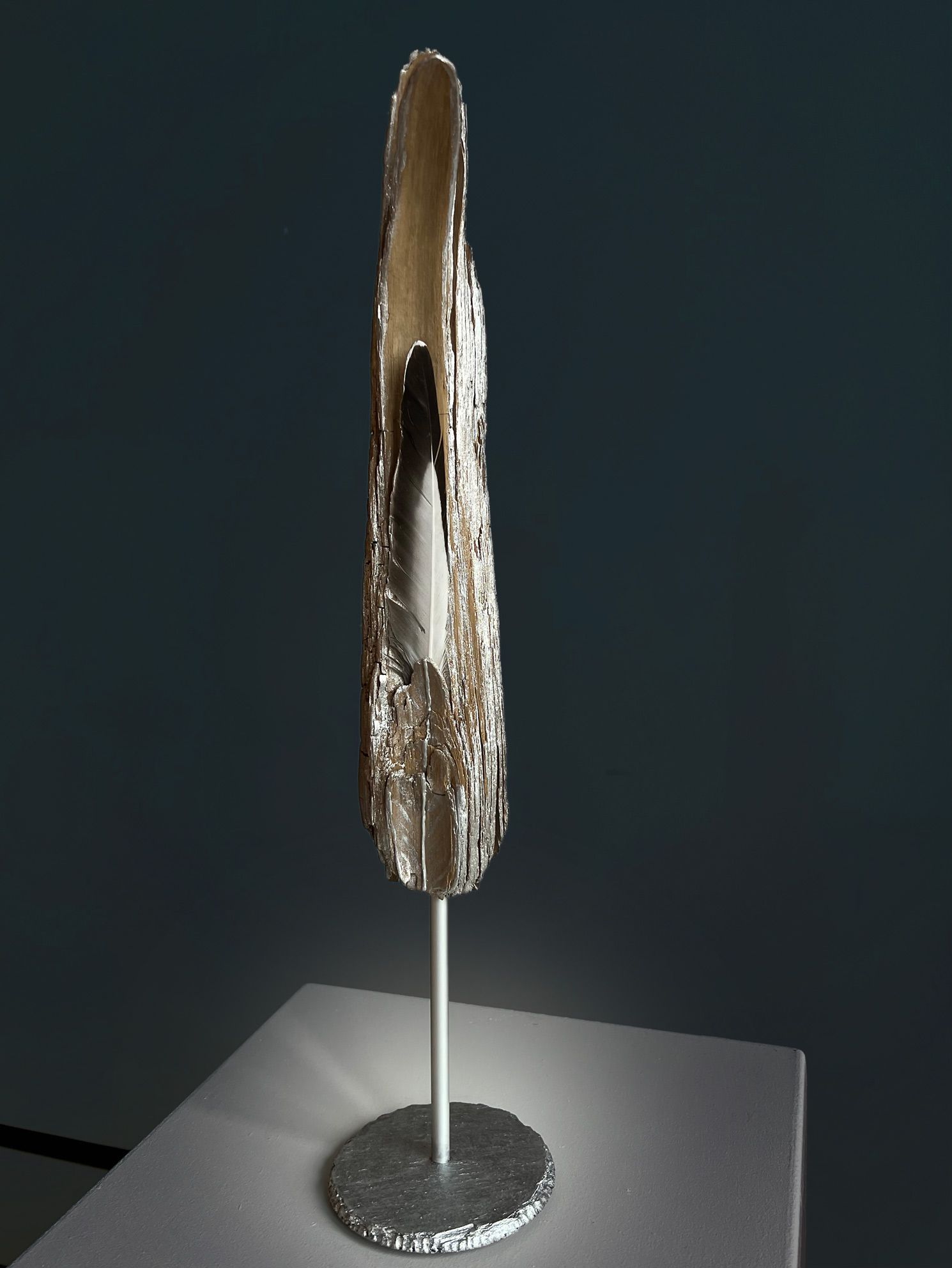 Federholz, Seeschwalbenfeder