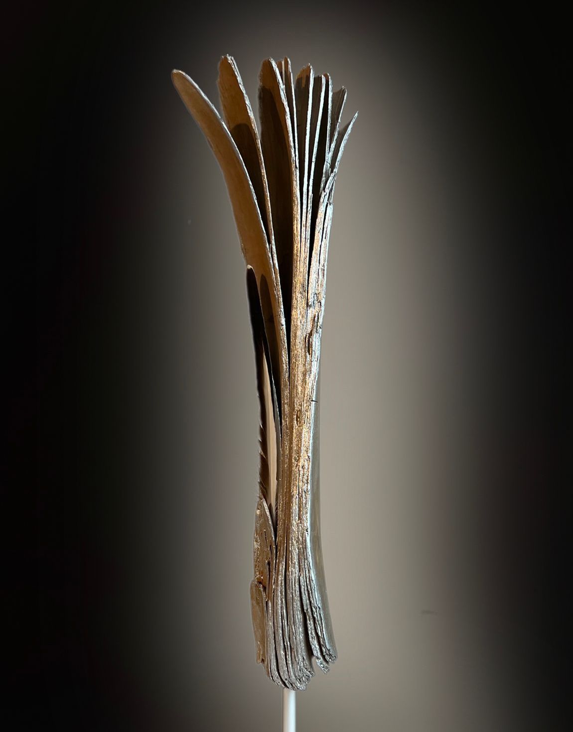 Federholz, Holzfeder, Federholz seitlich,