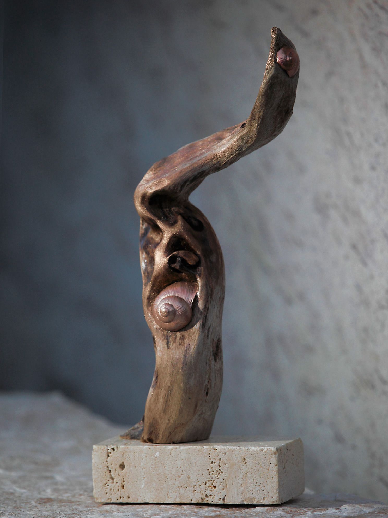 in Ruhe
Wurzelholz mit rosé Schnecken auf Travertinsockel