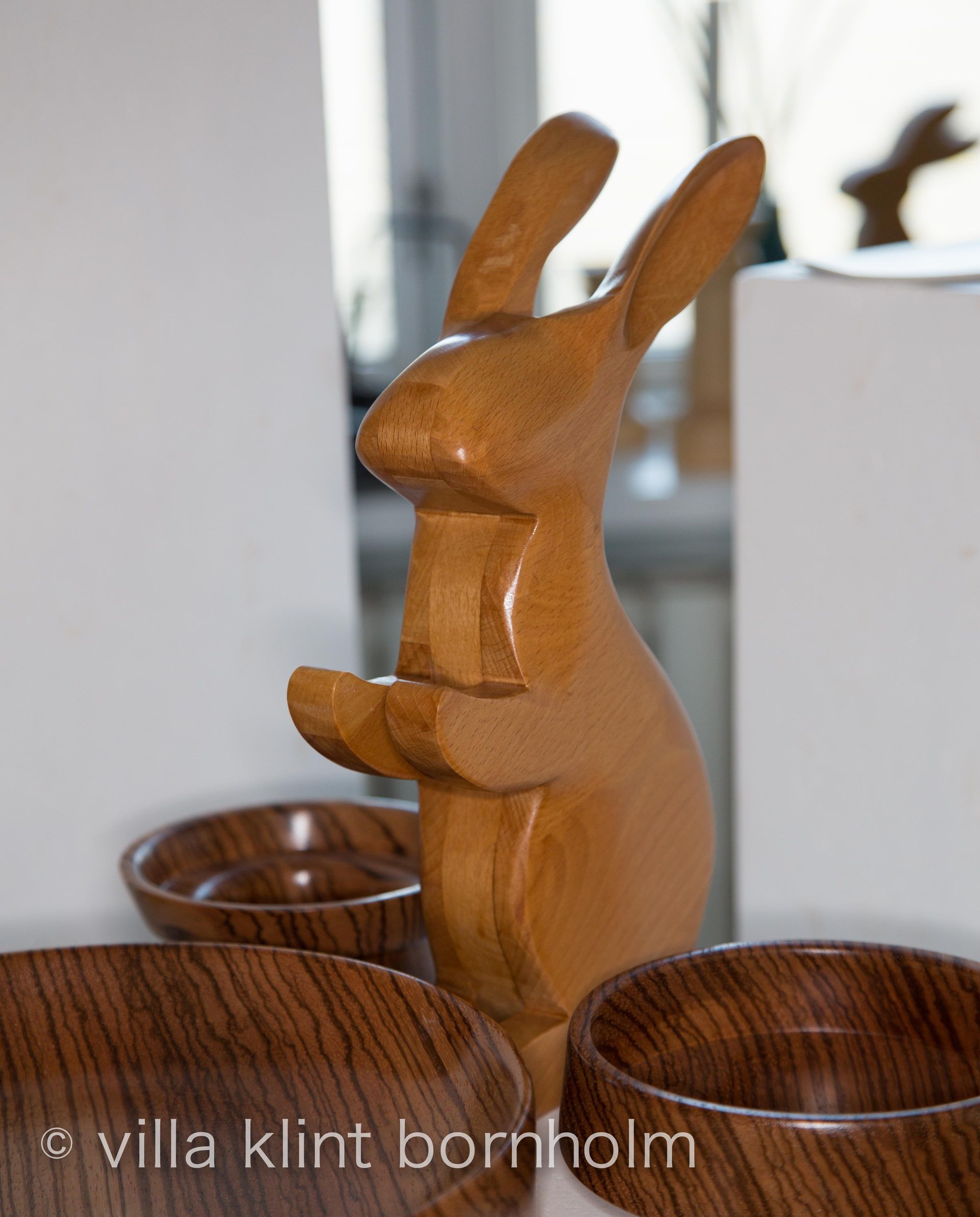 Ostern: ein Hase schaut links in den Raum