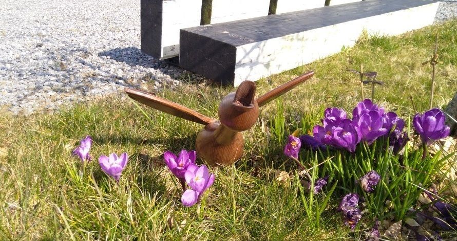 Frühjahrsimpression: Eine Holzgans sitzt im Sonnenschein in blühenden Krokussen