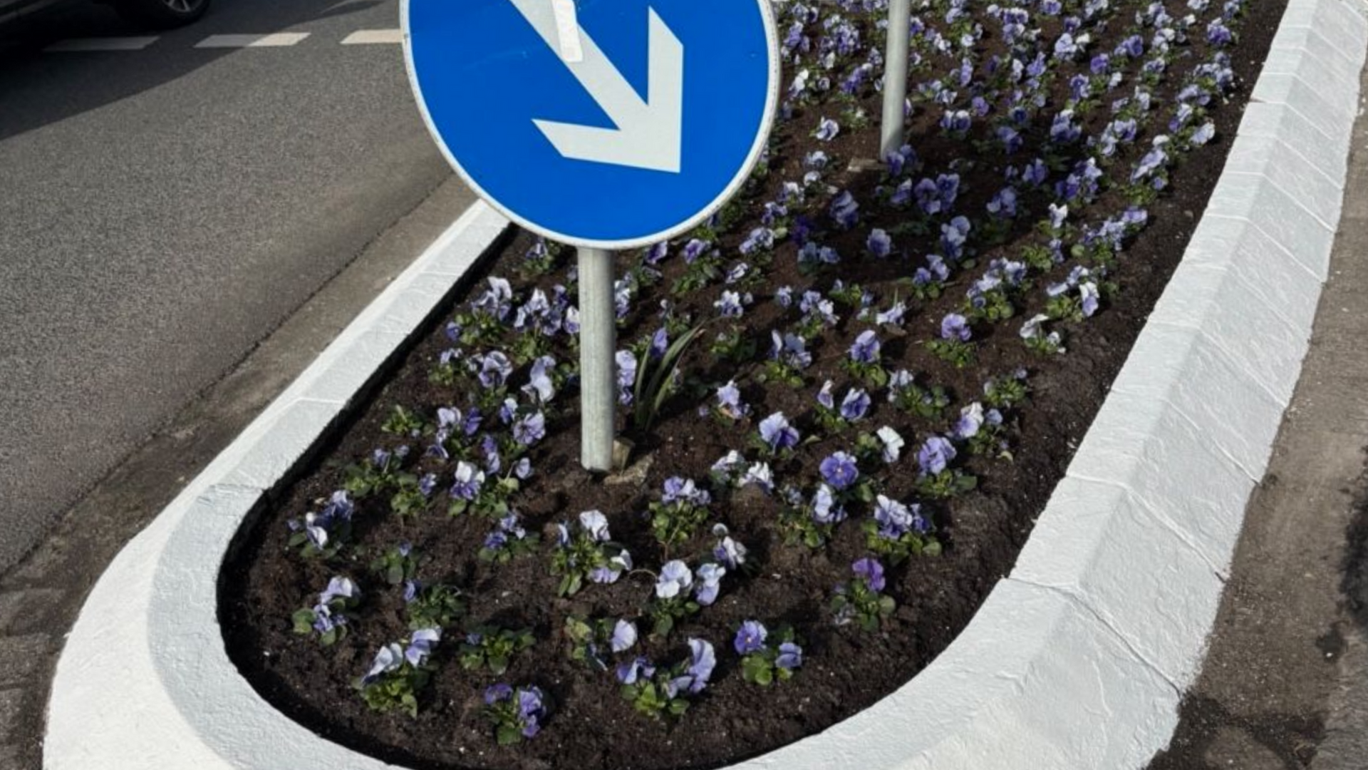 Bepflanzte Verkehrsinseln gesponsert vom Markant Supermarkt in Westeraccumersiel und gepflanzt von der Dorfgemeinschaft