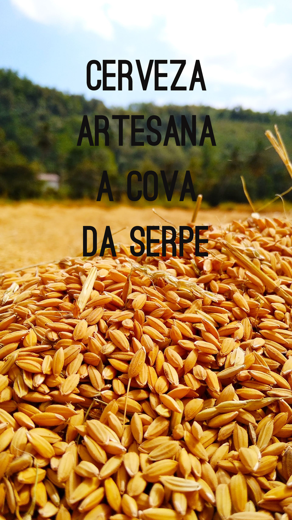 CERVEZA DE LUGO A COVA DA SERPE