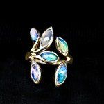 Lee-art.co.uk, Lee Ann Fine Art Photography, Fine Art Photography, Sparkles, Rings