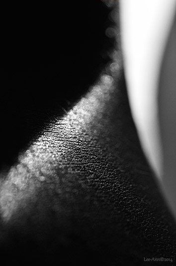Lee-art.co.uk, Lee Ann Fine Art Photography, Fine Art Photography, The body as a Landscape,  Human Cartography, the human story, the human journey, black and White, Photography, Shape, Touch, Texture, Chiaroscuro, Saudade