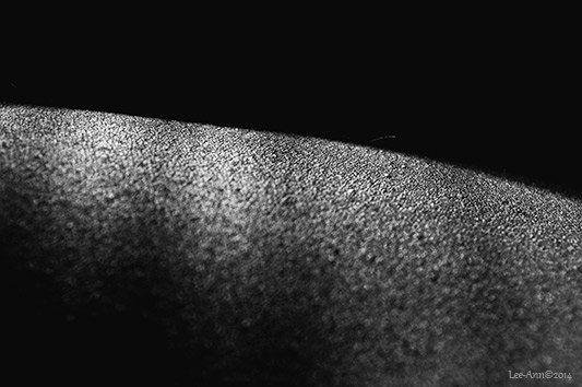 Lee-art.co.uk, Lee Ann Fine Art Photography, Fine Art Photography, The body as a Landscape,  Human Cartography, the human story, the human journey, black and White, Photography, Shape, Touch, Texture, Chiaroscuro, Saudade