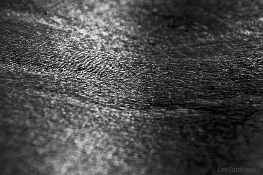 Lee-art.co.uk, Lee Ann Fine Art Photography, Fine Art Photography, The body as a Landscape,  Human Cartography, the human story, the human journey, black and White, Photography, Shape, Touch, Texture