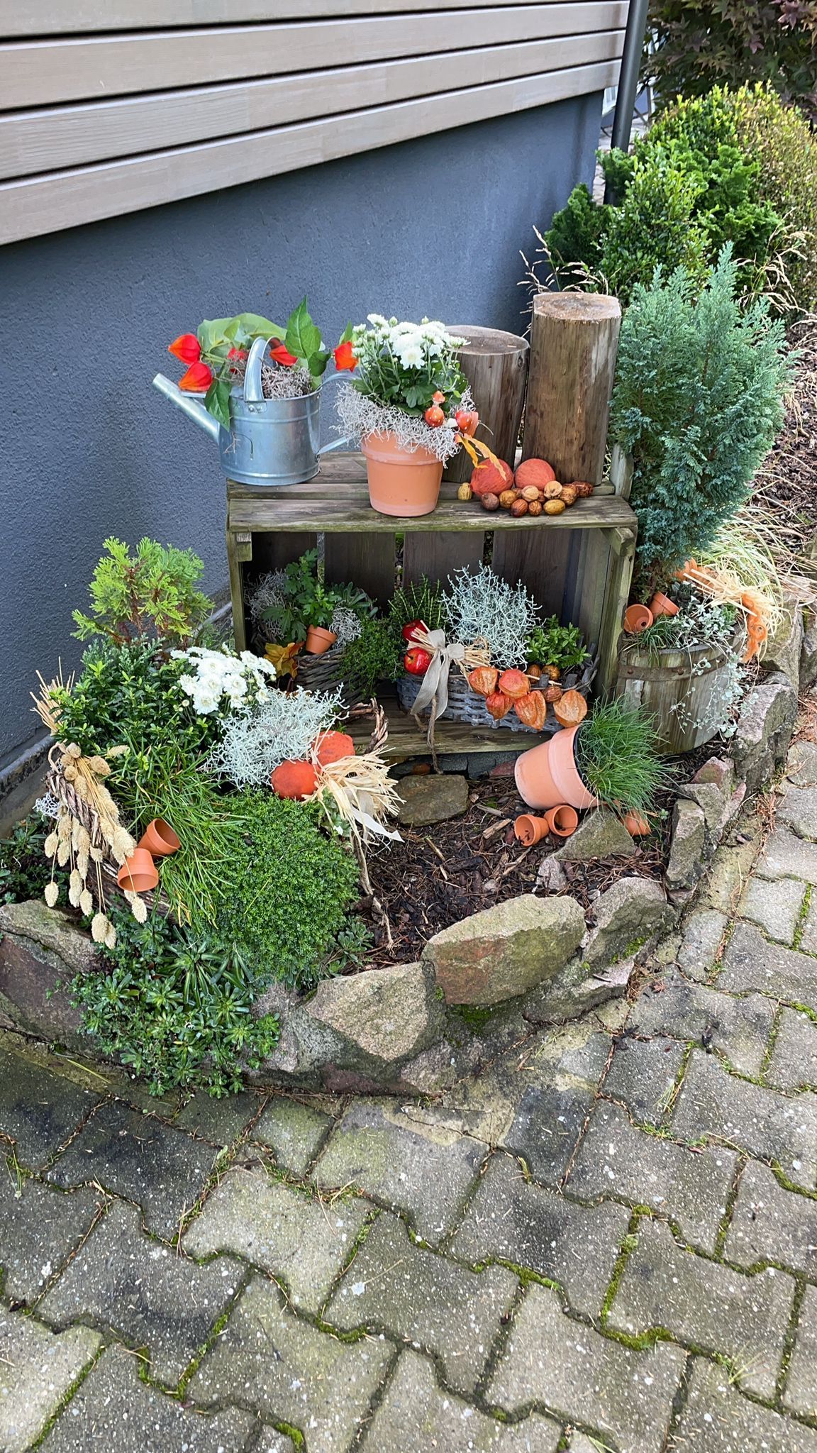 Bunte Blumen in kleinen Töpfen, arrangiert auf einem rustikalen Regal im Freien neben einer Hausmauer und einer Steineinfassung.