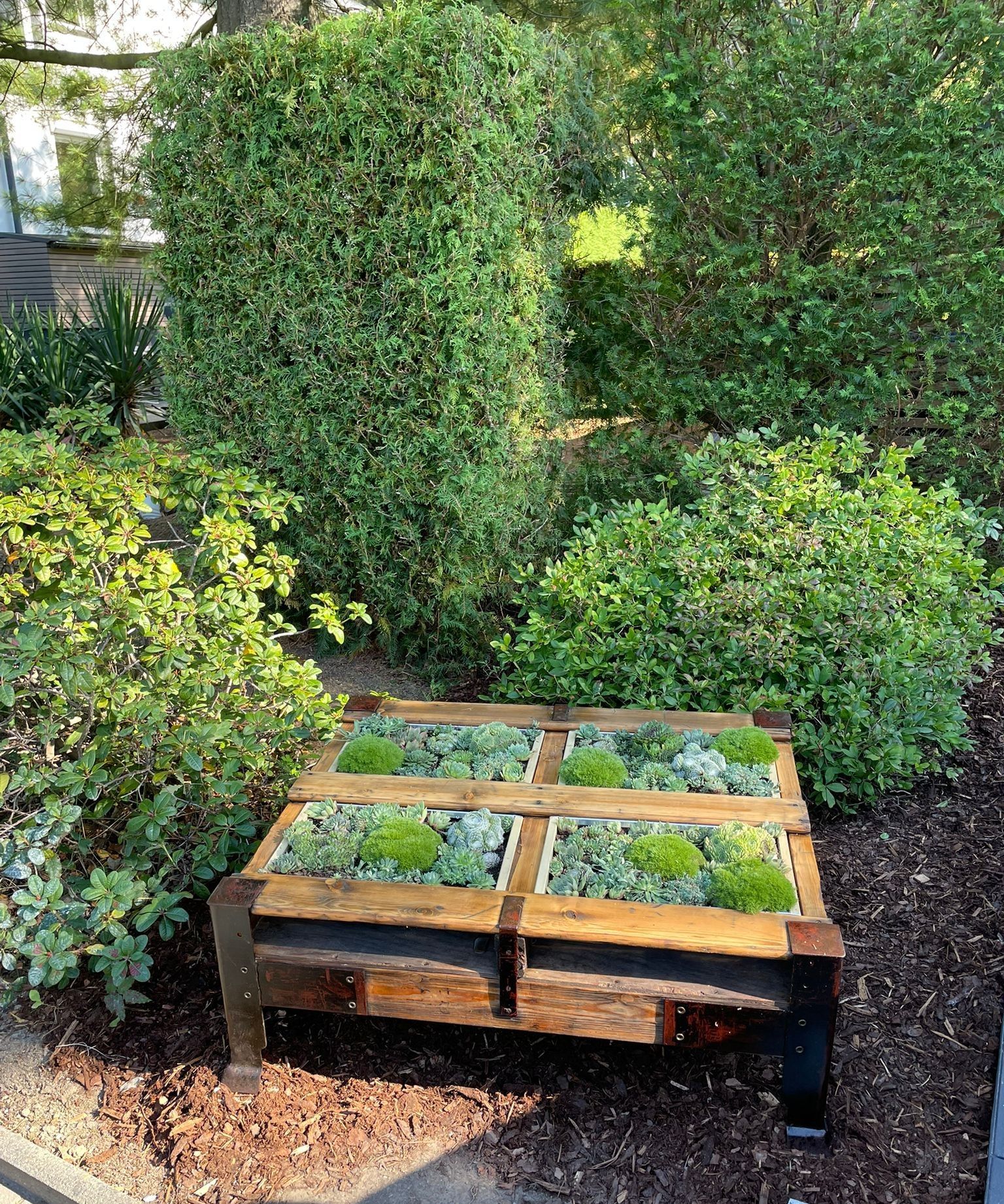 Kleiner hölzerner Pflanzkasten mit sechs Pflanzen in einem Garten, umgeben von grünen Sträuchern und Pflastersteinen.