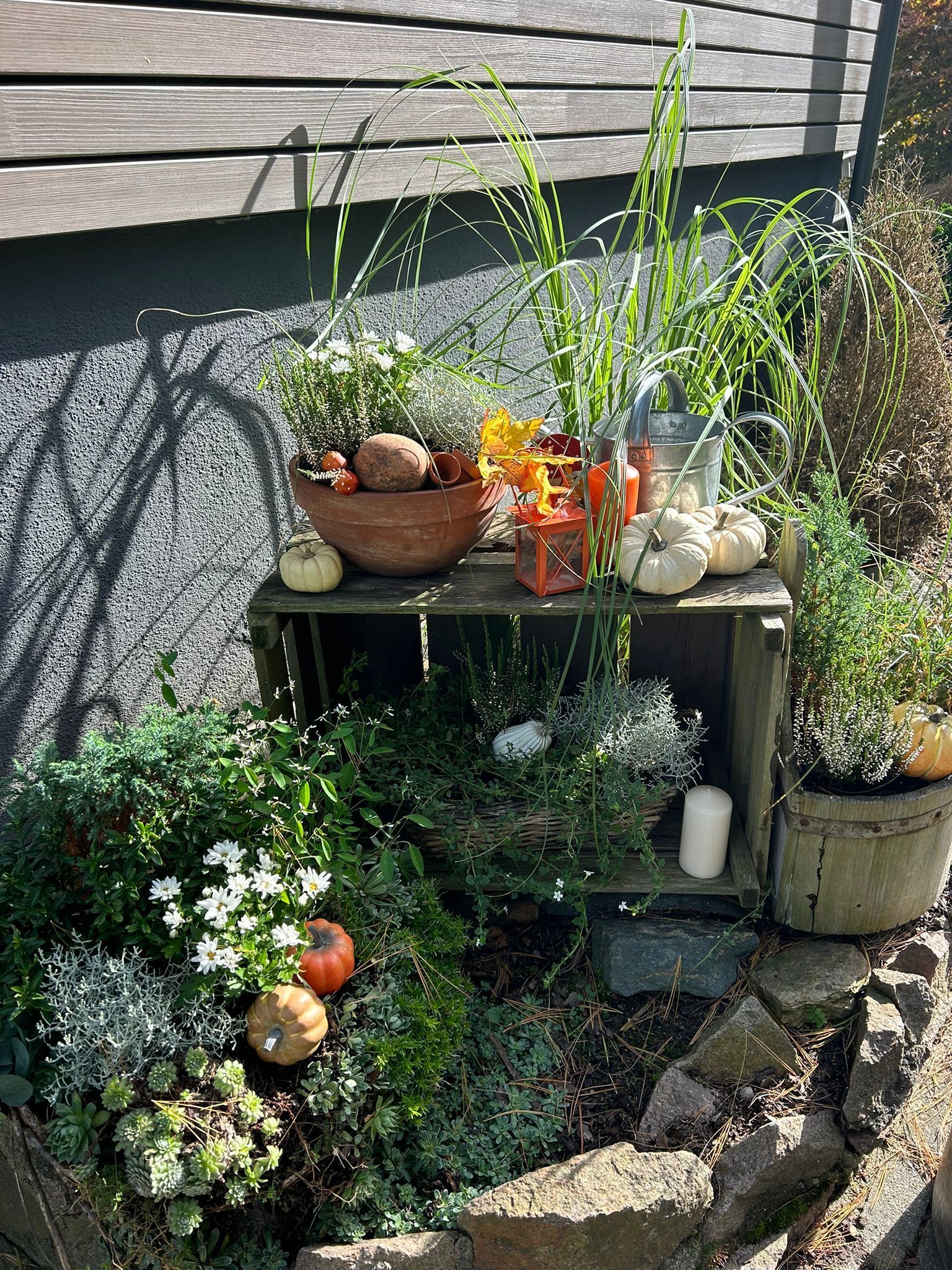Kleine Gartendekoration im Freien mit Kürbissen, Topfpflanzen, Blumen und einer Holzbank an einer Hauswand