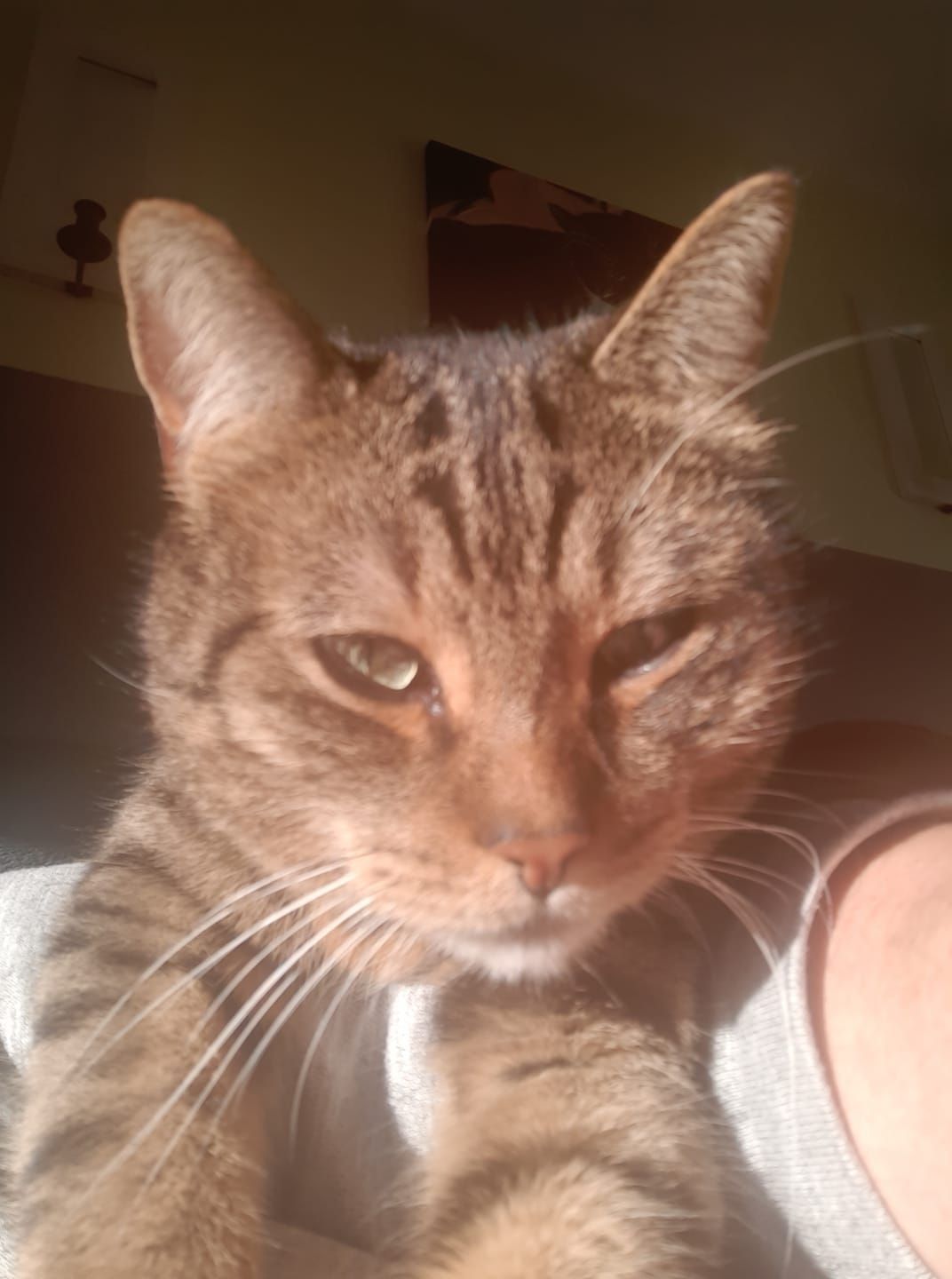 Amateurtheater Wuppertal Vorhang auf!