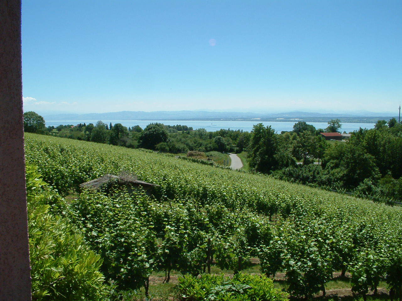 Haus am Trielberg | Zimmer 1