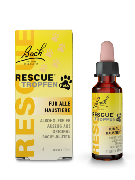 Rescue pets - Der absolute Gewinner unseres Teams