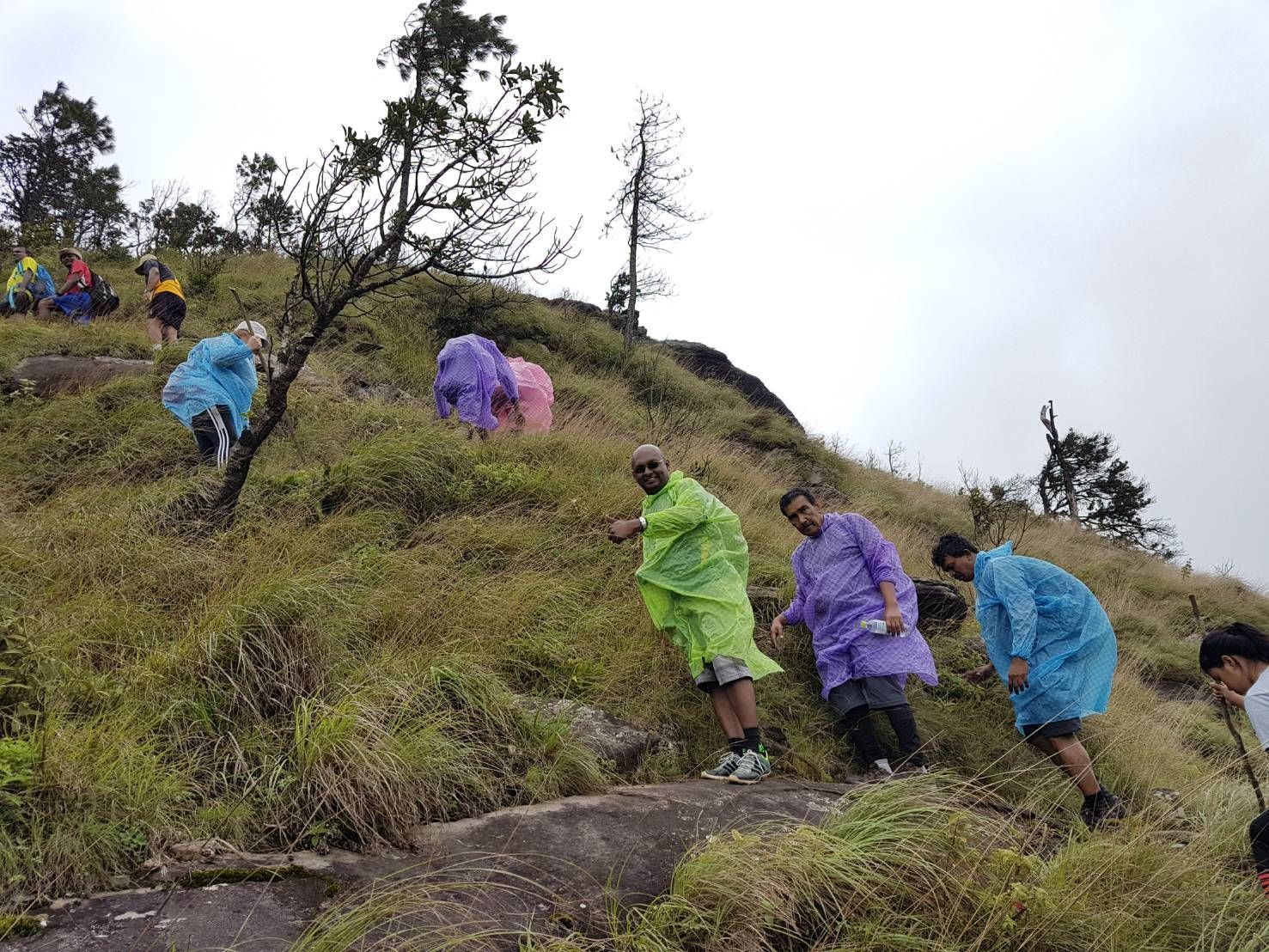 Trekking Tour  - Chiang Mai Private Tour