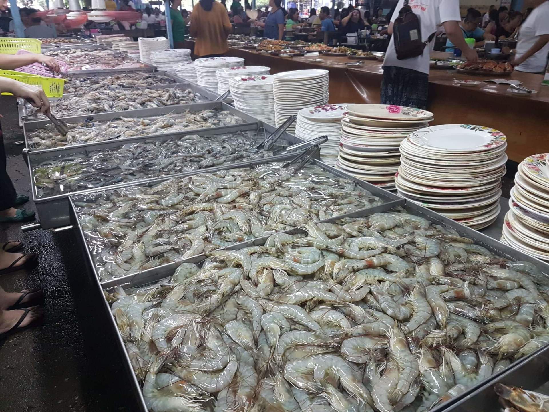 Chiang Mai Private Tour Guide and Driver