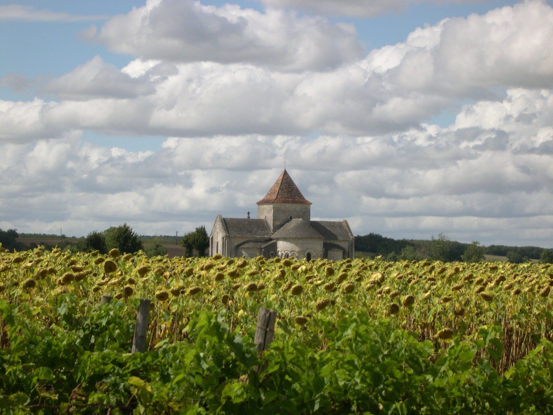 La charente libre aujourd'hui