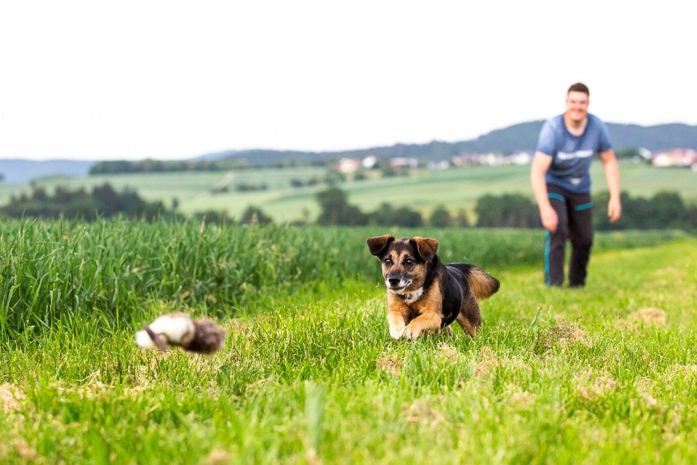 Wenn der Hund alles frisst, was er findet&hellip;