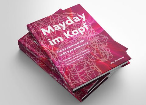 Mayday im Kopf - Neurowissenschaft trifft Systemtheorie Mayday im Kopf