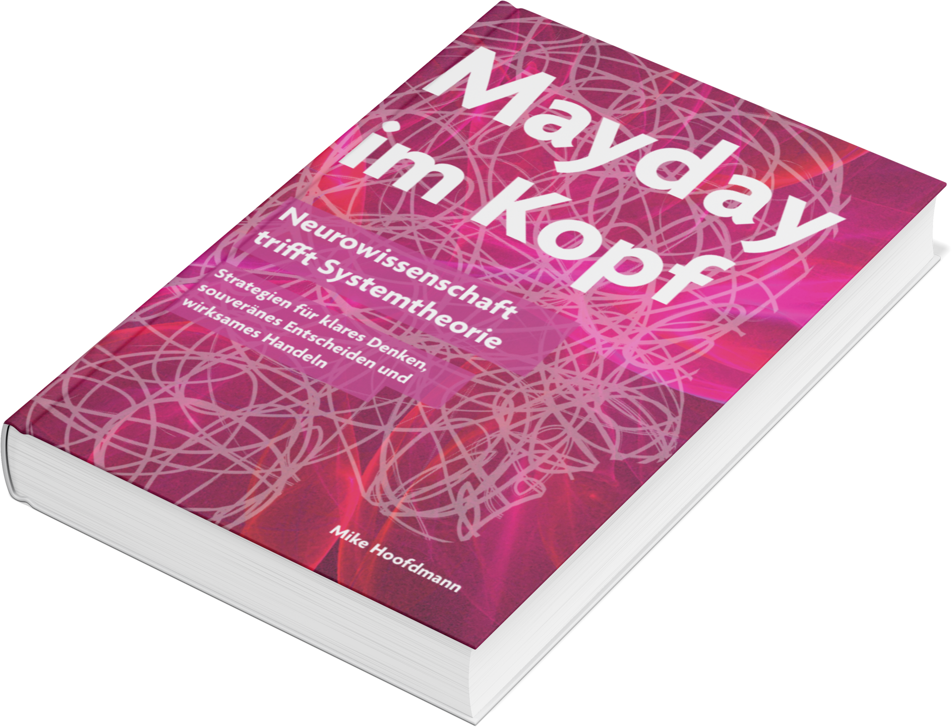 Mayday im Kopf - Neurowissenschaft trifft Systemtheorie Mayday im Kopf